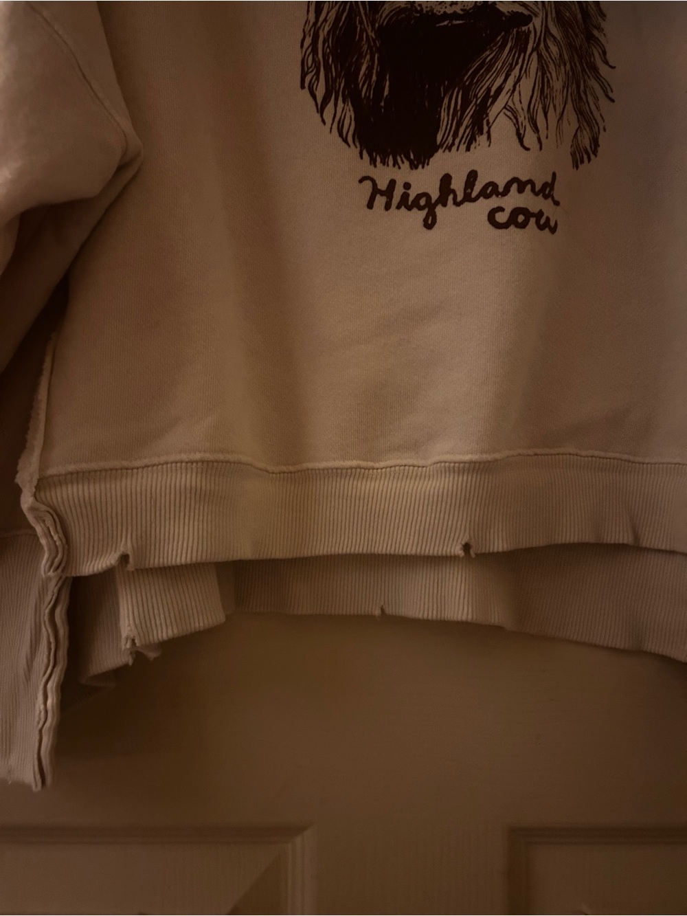 WE THE FREE CREAM HIGHLAND COW GRAPHIC CAMDEN PULLOVER SWEATSHIRT Sz S OVERSIZED - Picture 6 of 9